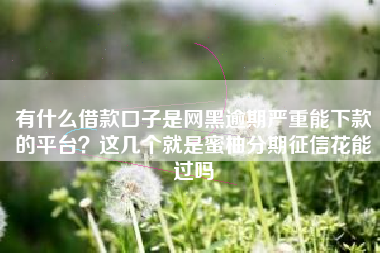 有什么借款口子是网黑逾期严重能下款的平台？这几个就是蜜柚分期征信花能过吗