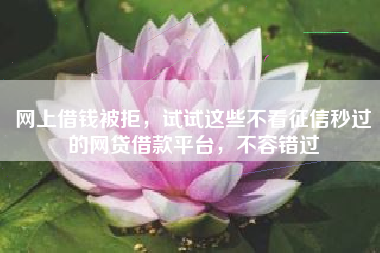 网上借钱被拒，试试这些不看征信秒过的网贷借款平台，不容错过