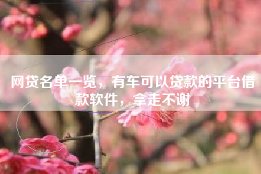 网贷名单一览，有车可以贷款的平台借款软件，拿走不谢