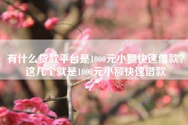 有什么贷款平台是1000元小额快速借款？这几个就是1000元小额快速借款