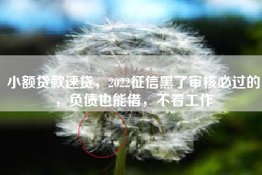 小额贷款速贷，2022征信黑了审核必过的，负债也能借，不看工作