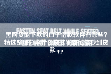 黑网贷能下款的口子借款软件有哪些？精选整理分享什么贷款不查征信秒到贷款app