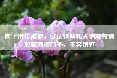 网上借钱被拒，试试这些私人借款微信放款网贷口子，不容错过