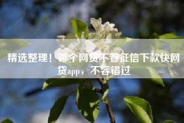 精选整理！哪个网贷不看征信下款快网贷app，不容错过