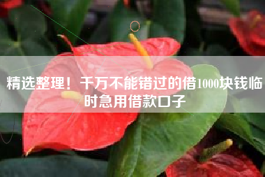 精选整理！千万不能错过的借1000块钱临时急用借款口子