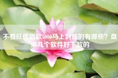 不看征信借款5000马上到账的有哪些？盘点几个软件好下款的