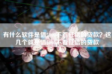 有什么软件是借5000不看征信的贷款？这几个就是借5000不看征信的贷款