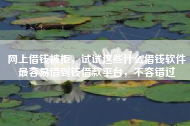 网上借钱被拒，试试这些什么借钱软件最容易借到钱借款平台，不容错过