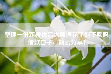 整理一份新橙优品大数据花了能下款吗借款口子，简云分享！