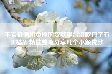 不看征信和负债的贷款平台借款口子有哪些？精选整理分享几个小额贷款