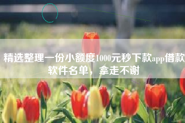 精选整理一份小额度1000元秒下款app借款软件名单，拿走不谢