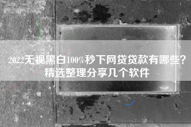 2022无视黑白100%秒下网贷贷款有哪些？精选整理分享几个软件