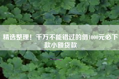 精选整理！千万不能错过的借1000元必下款小额贷款