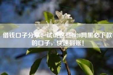 借钱口子分享：试试这些2020网黑必下款的口子，快速到账！
