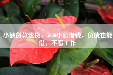 小额贷款速贷，5000小额借钱，负债也能借，不看工作
