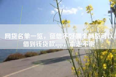 网贷名单一览，征信不好哪个网贷可以借到钱贷款app，拿走不谢