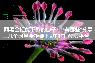 网黑全拒能下款的口子2022有哪些?分享几个网黑全拒能下款的口子2022平台