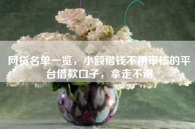 网贷名单一览，小额借钱不用审核的平台借款口子，拿走不谢
