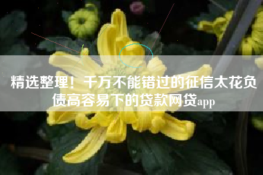精选整理！千万不能错过的征信太花负债高容易下的贷款网贷app
