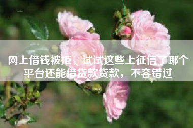 网上借钱被拒，试试这些上征信了哪个平台还能借贷款贷款，不容错过