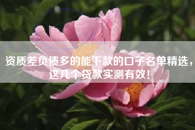 资质差负债多的能下款的口子名单精选，这几个贷款实测有效！