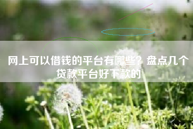 网上可以借钱的平台有哪些？盘点几个贷款平台好下款的