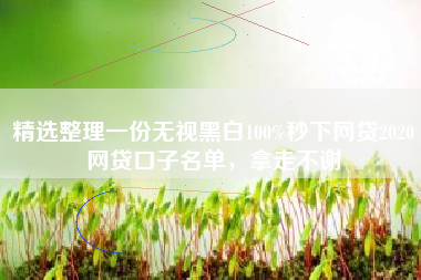 精选整理一份无视黑白100%秒下网贷2020网贷口子名单，拿走不谢