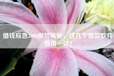 借钱应急3000微信转账，这几个借款软件值得一试！