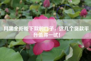 网黑全拒能下款的口子，这几个贷款平台值得一试！