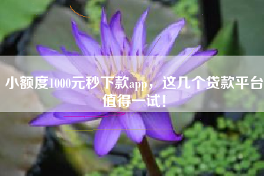 小额度1000元秒下款app，这几个贷款平台值得一试！