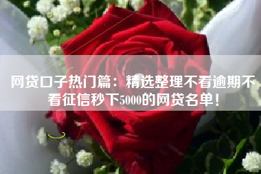 网贷口子热门篇：精选整理不看逾期不看征信秒下5000的网贷名单！