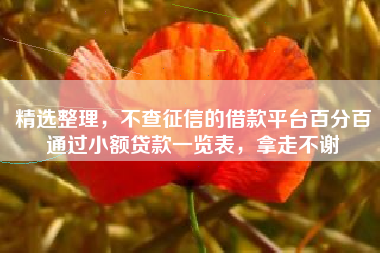 精选整理，不查征信的借款平台百分百通过小额贷款一览表，拿走不谢