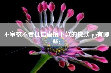 不审核不看征信直接下款的贷款app有哪些?