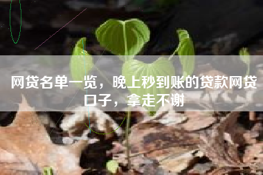 网贷名单一览，晚上秒到账的贷款网贷口子，拿走不谢
