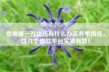 急需要一万块钱有什么办法名单精选，这几个借款平台实测有效！