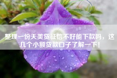 整理一份天美贷征信不好能下款吗，这几个小额贷款口子了解一下！
