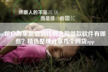 花户哪里能借到钱啊急用借款软件有哪些？精选整理分享几个网贷app