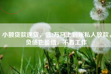小额贷款速贷，借2万马上到账私人放款，负债也能借，不看工作