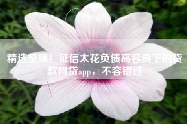 精选整理！征信太花负债高容易下的贷款网贷app，不容错过