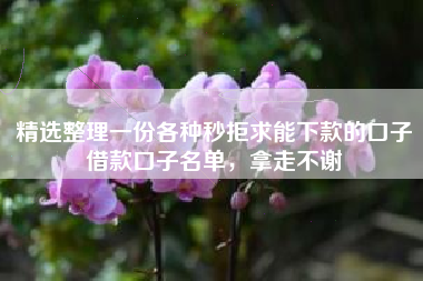 精选整理一份各种秒拒求能下款的口子借款口子名单，拿走不谢