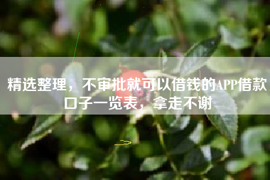 精选整理，不审批就可以借钱的APP借款口子一览表，拿走不谢