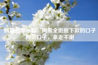 网贷名单一览，网黑全拒能下款的口子网贷口子，拿走不谢