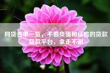 网贷名单一览，不看负债和征信的贷款贷款平台，拿走不谢