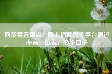 网贷精选盘点：网上借款哪个平台通过率高一览表，必下口子