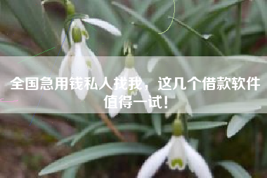 全国急用钱私人找我，这几个借款软件值得一试！