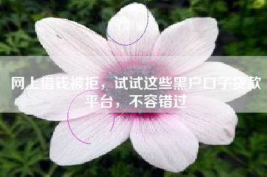 网上借钱被拒，试试这些黑户口子贷款平台，不容错过