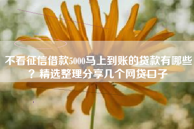 不看征信借款5000马上到账的贷款有哪些？精选整理分享几个网贷口子
