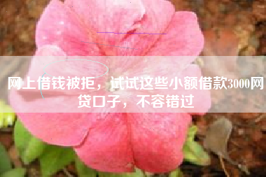 网上借钱被拒，试试这些小额借款3000网贷口子，不容错过