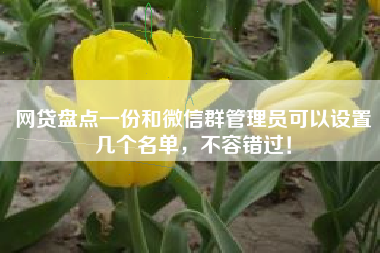 网贷盘点一份和微信群管理员可以设置几个名单，不容错过！