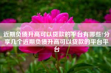 近期负债升高可以贷款的平台有哪些?分享几个近期负债升高可以贷款的平台平台